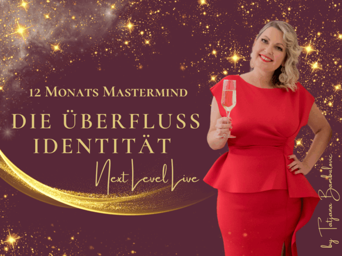 DIE ÜBERFLUSS IDENTITÄT - Next Level - 12monatiges ongoing Live Mastermind Programm