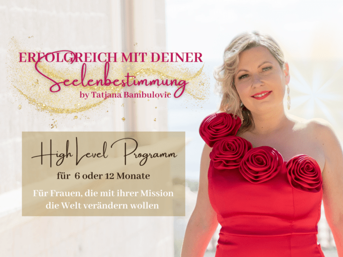 Erfolgreich mit Deiner Seelenbestimmung - 6 Monate High Level Programm